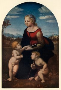 O Belle Jardinière, 1507, c1912 de Raffaello Sanzio Raphael