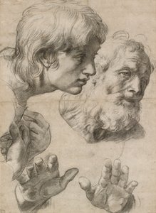 Estudos das cabeças de dois apóstolos e de suas mãos, século XVI de Raphael