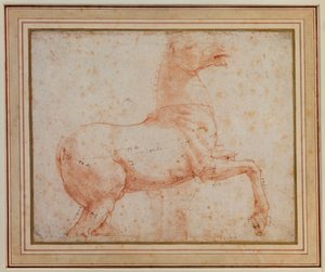 Estudo de um dos cavalos de mármore quirinal, c.1515-17 de Raphael