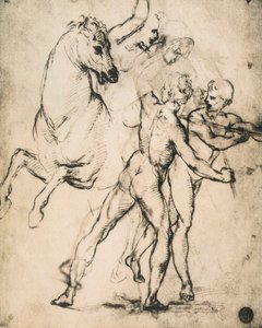 Nus masculinos com um cavalo; desenho de Raphael. Gallerie dellAccademia, Veneza de Raffaello Sanzio Raphael