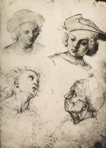 Estudo de quatro rostos masculinos; desenho de Raphael. Gallerie dellAccademia, Veneza de Raffaello Sanzio Raphael