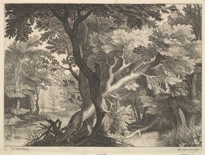 Paisagem arborizada. de Raphael Sadeler