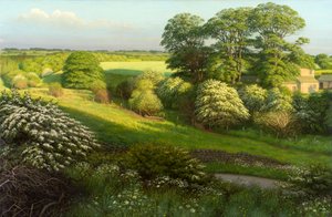 Paisagem de Raymond Booth