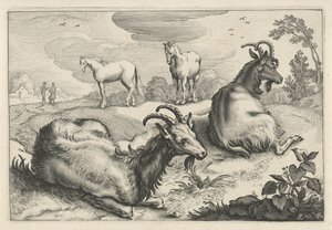 Paisagem com duas cabras e dois cavalos Diversa Animalia Quadrupedia (título da série)