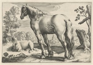 Paisagem com dois cavalos Diversa Animalia Quadrupedia (título da série)