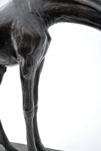 Grande girafa com cabeça abaixada, modelado em 1909-10, fundido antes de 1913 (bronze) (ver também 3084917-43) de Rembrandt Bugatti