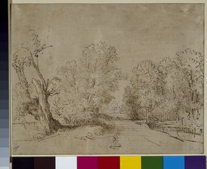 Uma estrada arborizada, c.1650 (caneta e tinta sobre papel) de Rembrandt Harmensz. van Rijn