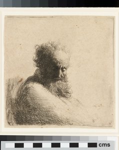 Busto de um homem idoso barbudo, olhando para baixo, três quartos à direita de Rembrandt Harmensz. van Rijn