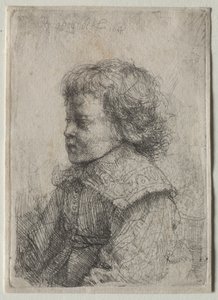 Retrato de um rapaz de perfil de Rembrandt Harmensz. van Rijn