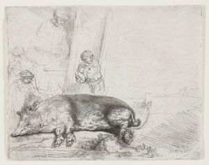 O porco de Rembrandt van Rijn