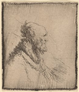 Velho careca com barba curta no perfil de Rembrandt van Rijn