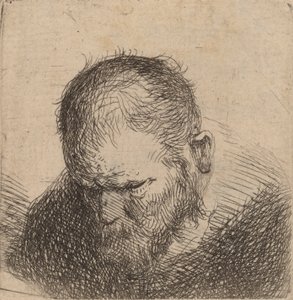 Homem barbudo olhando para baixo, possivelmente 1631. de Rembrandt van Rijn