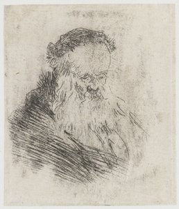 Ancião barbudo com testa alta de Rembrandt van Rijn
