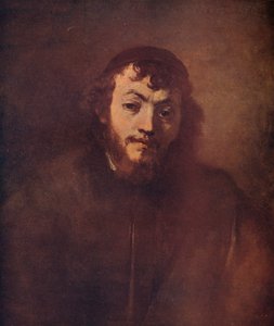 Busto de um jovem barbudo com uma calota craniana, 1663 de Rembrandt van Rijn