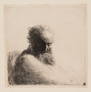 Busto de um velho barbudo, olhando para baixo, três quartos à direita de Rembrandt van Rijn