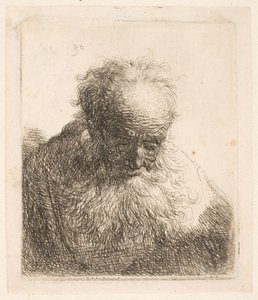 Busto de um homem idoso com barba esvoaçante: a cabeça inclinada para a frente: ombro esquerdo sem sombreado de Rembrandt van Rijn