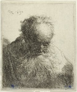 Busto de um velho com barba esvoaçante: a cabeça inclinada para a frente: ombro esquerdo sem sombra de Rembrandt van Rijn