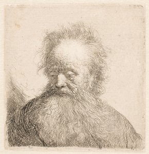 Busto de um homem idoso com barba esvoaçante: cabeça quase ereta; olhos baixos; o olhar ligeiramente virado para a esquerda de Rembrandt van Rijn