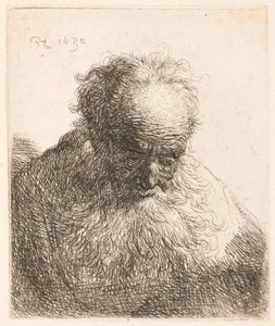 Busto de um homem idoso com barba esvoaçante: a cabeça inclinada para a frente; ombro esquerdo sem sombra de Rembrandt van Rijn