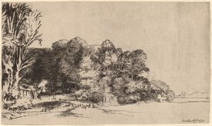 Clump of Trees with a Vista de Rembrandt van Rijn
