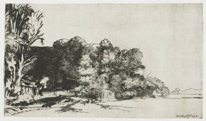 Ninhada de árvores com uma vista de Rembrandt van Rijn
