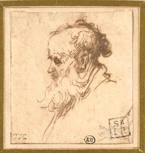 Cabeça de um homem barbudo de perfil à esquerda de Rembrandt van Rijn
