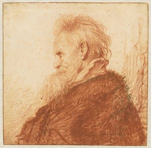 Cabeça de um Velho (reto) de Rembrandt van Rijn