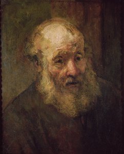 Cabeça de um homem velho, c.1650