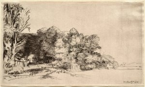 Paisagem com um grupo de árvores de Rembrandt van Rijn