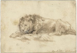 Leão deitado (Liggend leeuw). 1650-59 de Rembrandt van Rijn