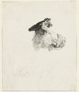 Ancião a proteger os olhos com a mão de Rembrandt van Rijn