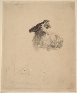 Ancião a proteger os olhos com a mão de Rembrandt van Rijn
