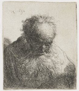 Velho com barba florida, o ombro esquerdo sem sombra
Busto de um homem velho com uma barba fluida: a cabeça curvada para a frente: ombro esquerdo sem sombras de Rembrandt van Rijn