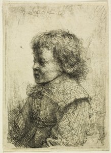 Retrato de um menino de Rembrandt van Rijn