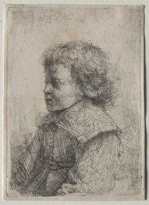 Retrato de um menino de perfil de Rembrandt van Rijn