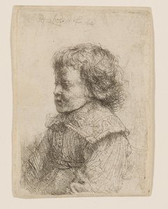 Retrato de um rapaz de perfil de Rembrandt van Rijn