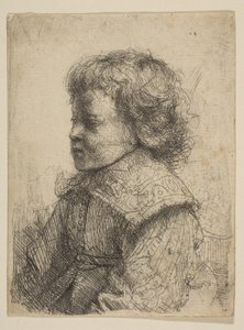 Retrato de um menino, em perfil, 1641. de Rembrandt van Rijn