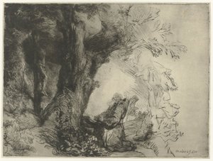São Francisco debaixo de uma árvore, rezando
São Francisco debaixo de uma árvore a rezar de Rembrandt van Rijn