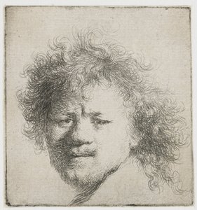 Auto-retrato com cabelo comprido e peludo: apenas cabeça de Rembrandt van Rijn