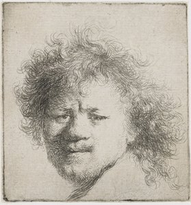 Auto-retrato com cabelos longos e espessos: apenas a cabeça, ca 1631. de Rembrandt van Rijn