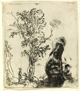 Folha com dois estudos: uma árvore e a parte superior da cabeça do artista usando um gorro de veludo de Rembrandt van Rijn