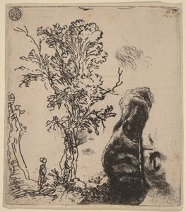 Folha com dois esboços: uma árvore e a parte superior da cabeça do artista, com um gorro de veludo de Rembrandt van Rijn