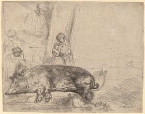 O porco de Rembrandt van Rijn