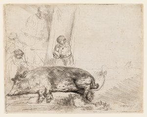 O porco de Rembrandt van Rijn