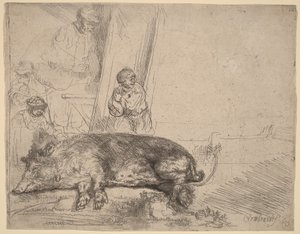 O Porco de Rembrandt van Rijn
