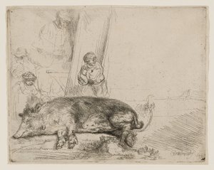 O Porco de Rembrandt van Rijn