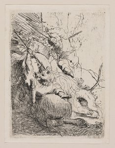 A pequena caça ao leão (com um leão) de Rembrandt van Rijn