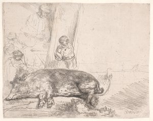 O porco de Rembrandt van Rijn