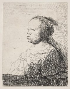 O preto branco de Rembrandt van Rijn