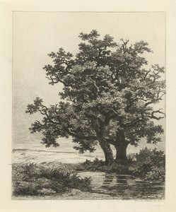 Dois carvalhos em um lago de Remigius Adrianus Haanen